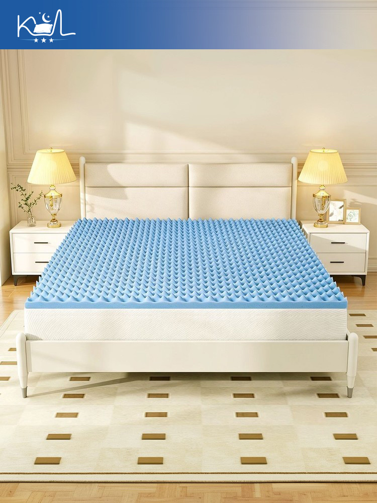 블루 스펀지 매트리스 패드, 가정용, 학생 기숙사용 부 - Mattress Pad Topper 리뷰 및 가격